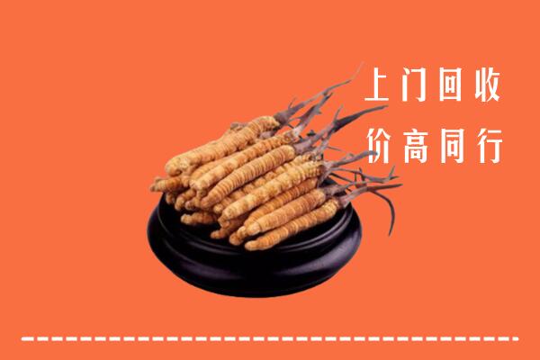 高价求购：攸市回收散虫草