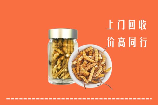 攸市回收冬虫夏草